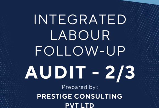 NWEDC / Andritz / PowerChina / Doosan / Jade — Labour Audit